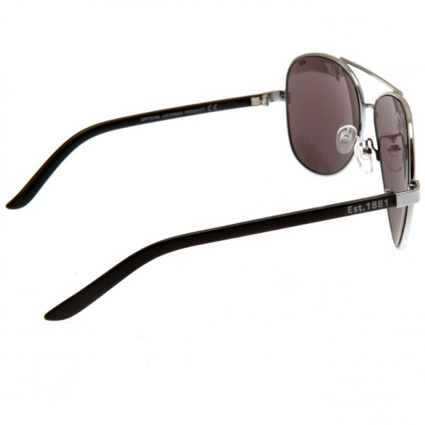 Wales RU Sunglasses Adult Aviator - Image 8