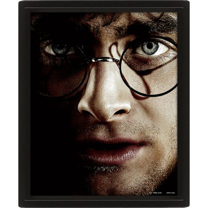 Harry Potter Framed 3D Picture - Image 2