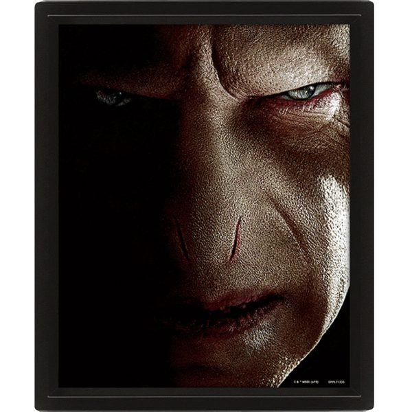 Harry Potter Framed 3D Picture - Image 3