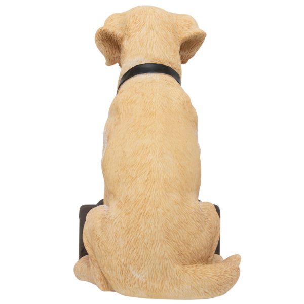 Newcastle United FC Labrador Gnome - Image 3
