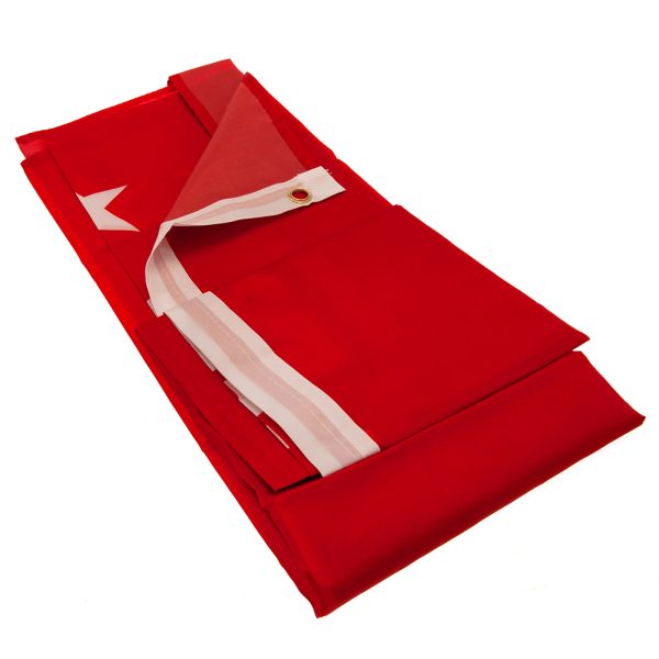 Nottingham Forest FC Core Crest Flag - Image 3