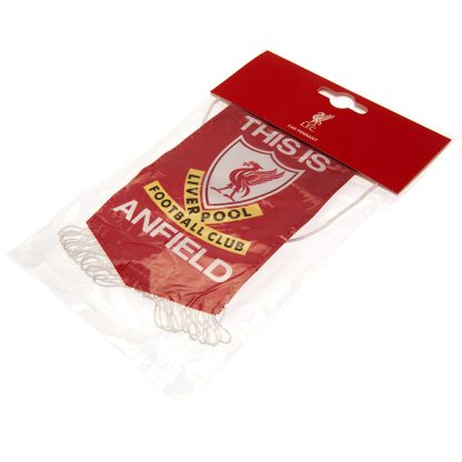 Liverpool FC TIA Mini Pennant - Image 3