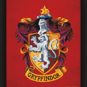 Harry Potter Gryffindor Framed 3D Picture