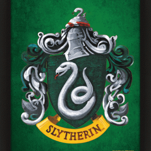 Harry Potter Slytherin Framed 3D Picture