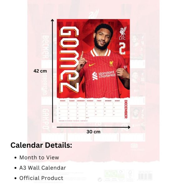 Liverpool FC A3 Calendar 2025 - Image 5