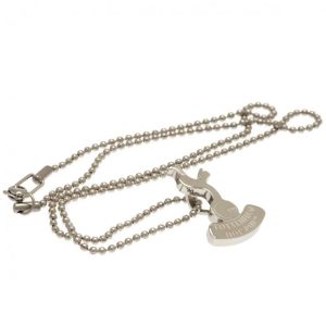 tottenham hotspur fc stainless steel pendant & chain