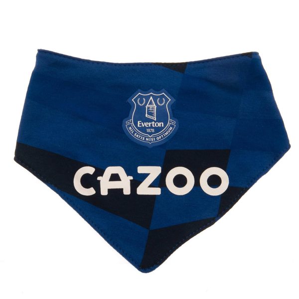 everton fc 2 pack bibs