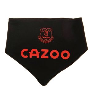 everton fc 2 pack bibs