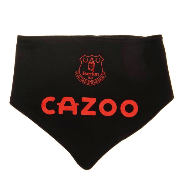 everton fc 2 pack bibs