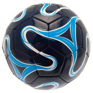 tottenham hotspur fc cosmos colour football