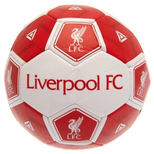liverpool fc hex size 3 football
