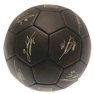 arsenal fc sig gold phantom football
