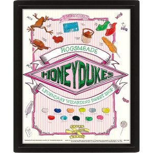 harry potter honeydukes framed 3d picture
