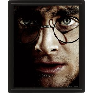 harry potter framed 3d picture