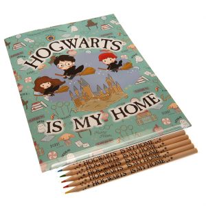 harry potter travel play pack