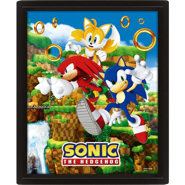 sonic the hedgehog framed 3d picture