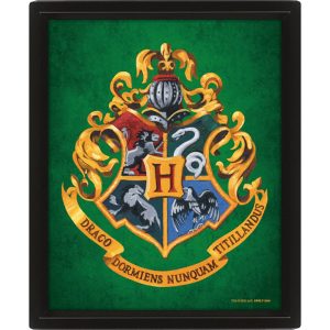 harry potter slytherin framed 3d picture