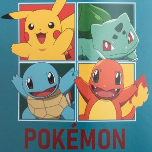pokemon dream team fleece blanket