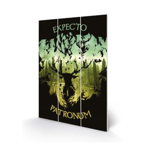 harry potter expecto patronum wood print
