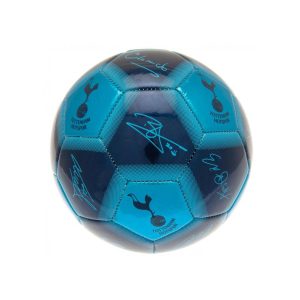 tottenham hotspur fc signature skill ball