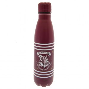 harry potter thermal flask