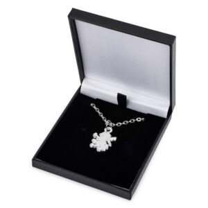Aston Villa FC Silver Plated Boxed Lion Pendant